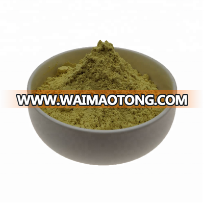 100% Natural Ginger Extract Powder(Water Soluble )