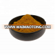 High Quality 100% Organic Carrot Powder/Juice Powder